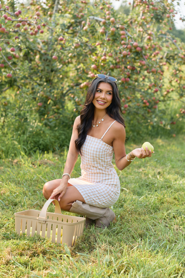 Coralie Taupe Gingham Romper Dress