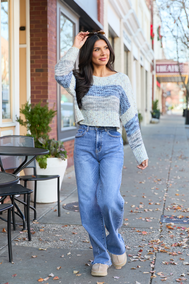 Ellis Tan And Blue Cropped Sweater FINAL SALE