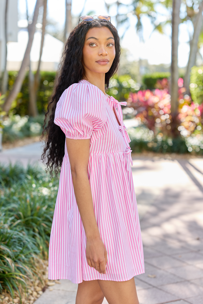 Fern Pink Striped Dress FINAL SALE