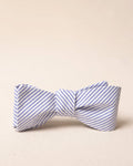 The front view of the Southern Tide Blue and White Seersucker Bow Tie by Southern Tide - Blue