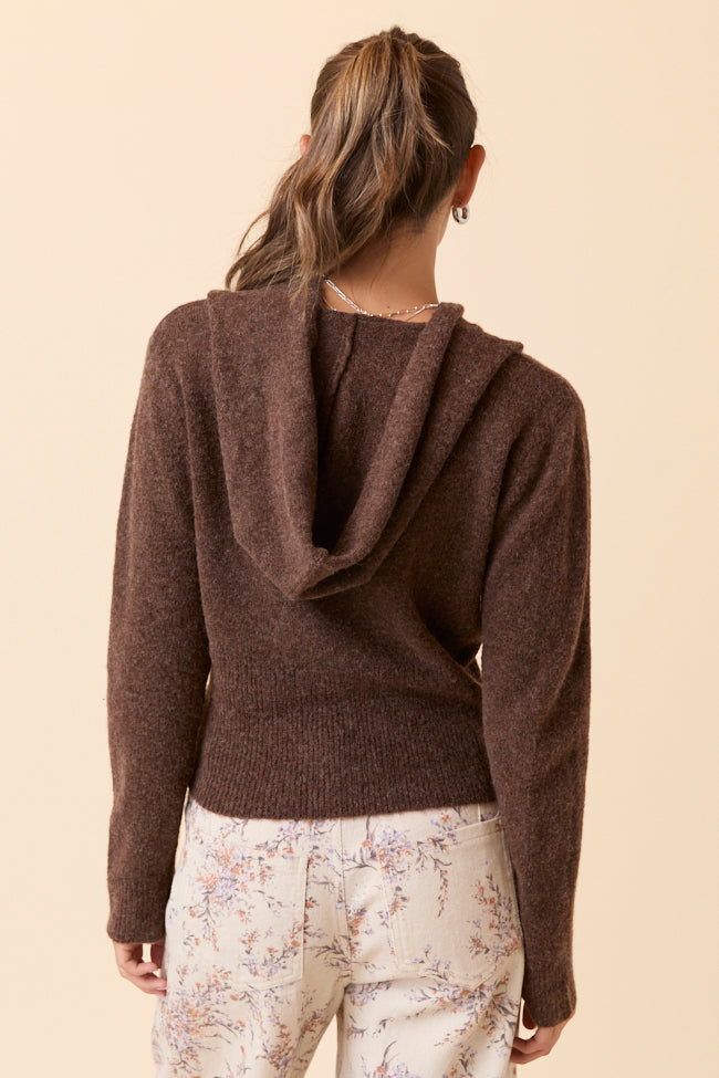 Kayce Brown Hooded V-Neck Surplice Sweater FINAL SALE