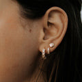 Sea Shell Stud Earrings