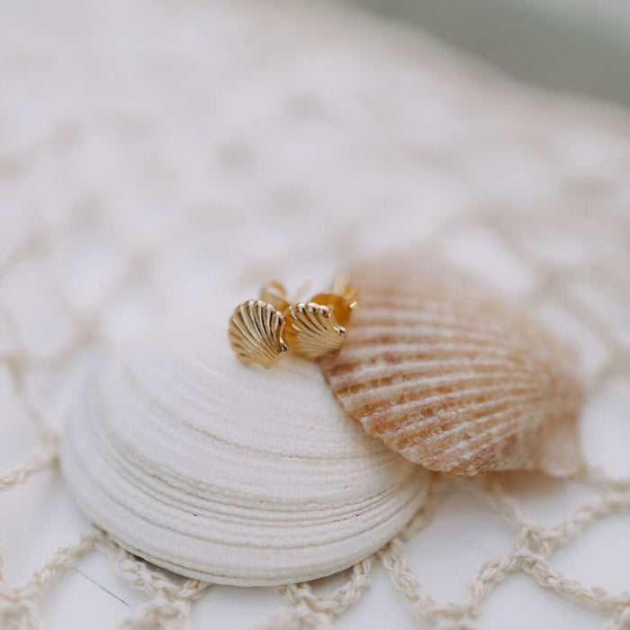 Sea Shell Stud Earrings