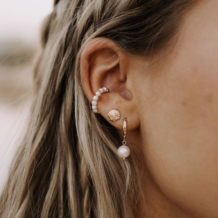 Sea Shell Stud Earrings