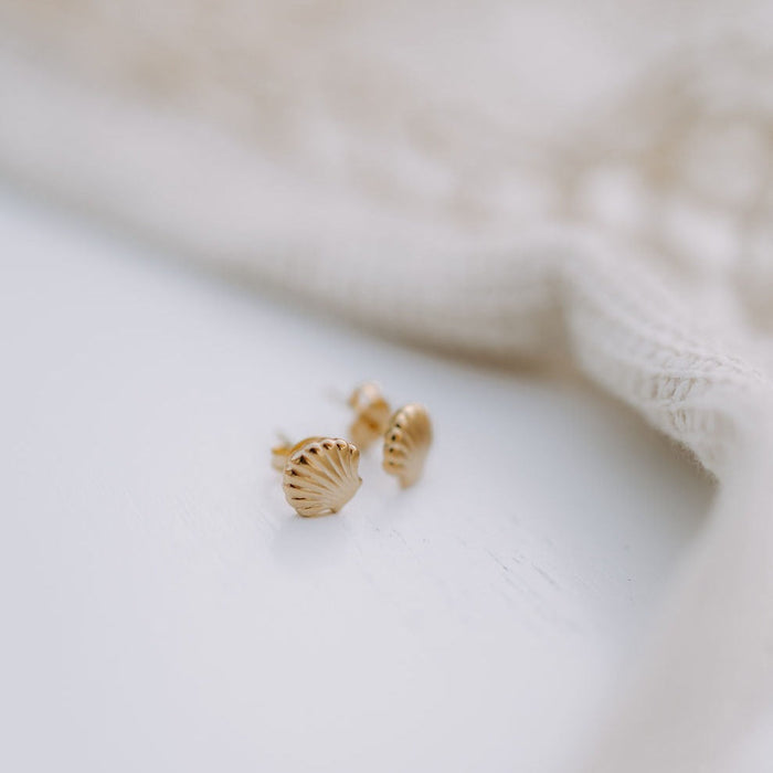 Sea Shell Stud Earrings