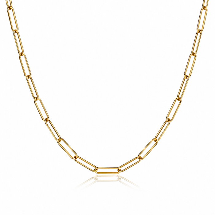 Shirin Gold Paperclip Chain Necklace