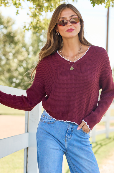 Simply Refined Wine Textured V-Neck Sweater