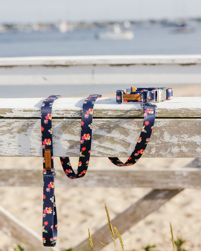 The lifestyle view of the Southern Tide ST x Pawsitivity Garden Splendor Dog Collar by Southern Tide - Dress Blue