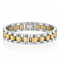 Vega Silver and Gold Band Bracelet